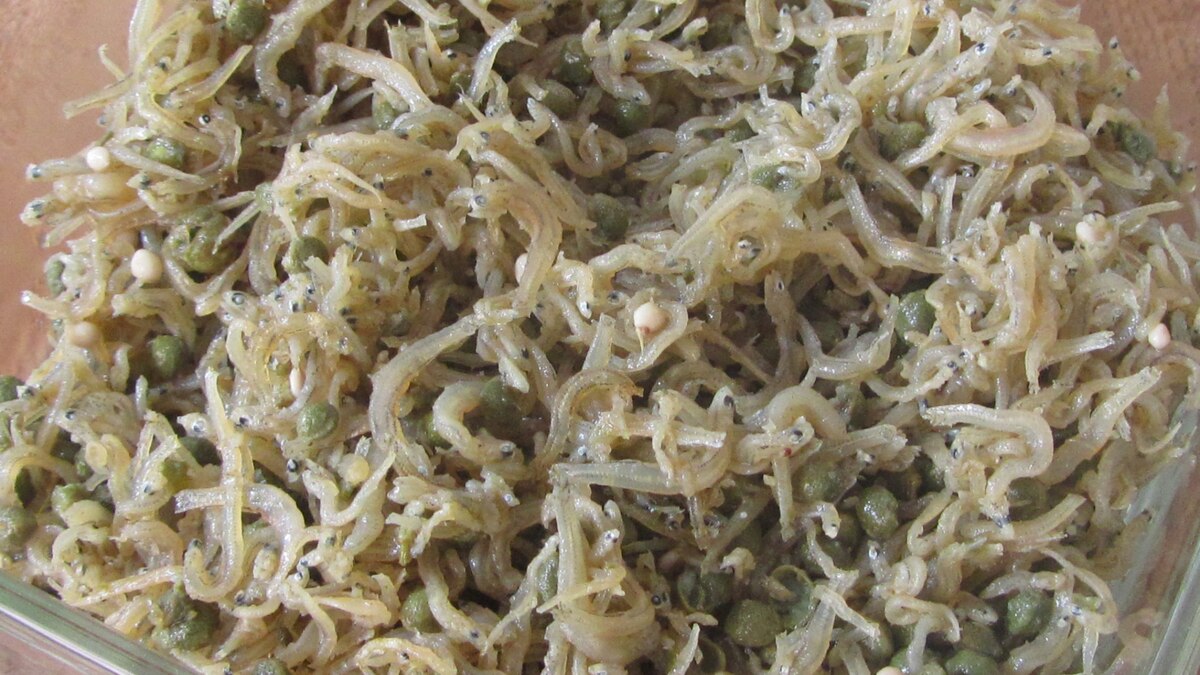 ちりめん山椒 塩漬けを使って レシピ 作り方 By スノウらいだー 楽天レシピ